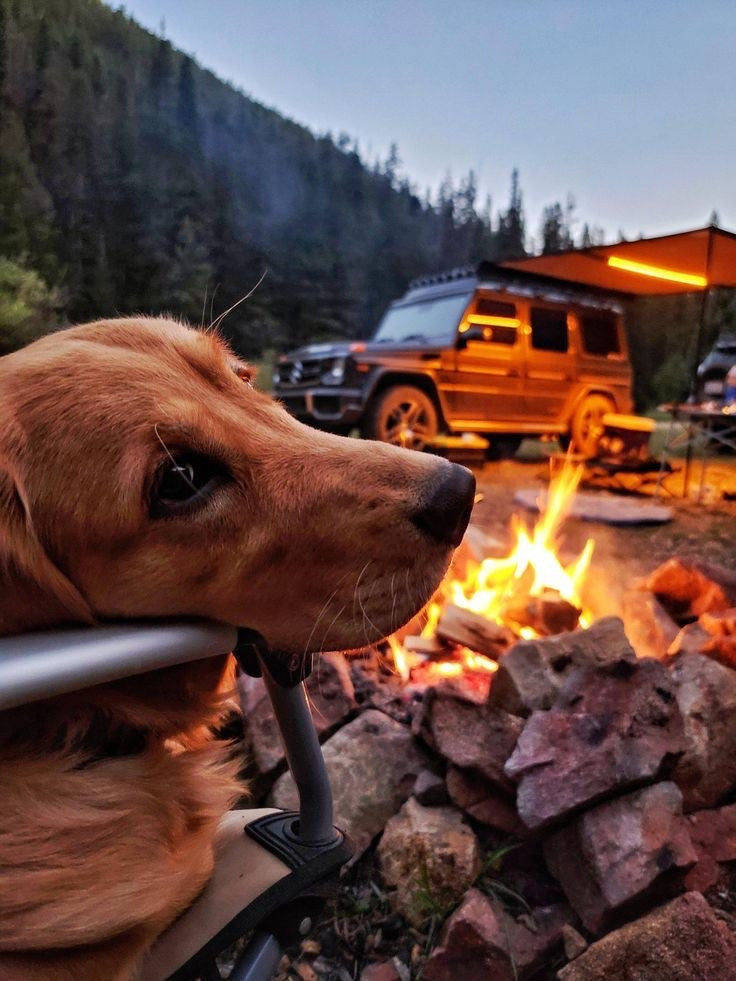 Campfire